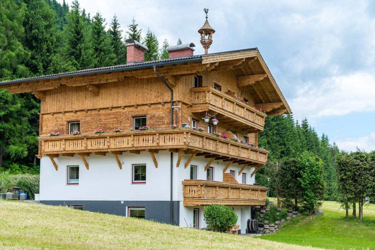 Kesselgrubs Apartements Ski & Badeglueck エーベン・イム・ポンガウ エクステリア 写真